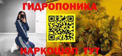 Альфа ПВП Севастополь
