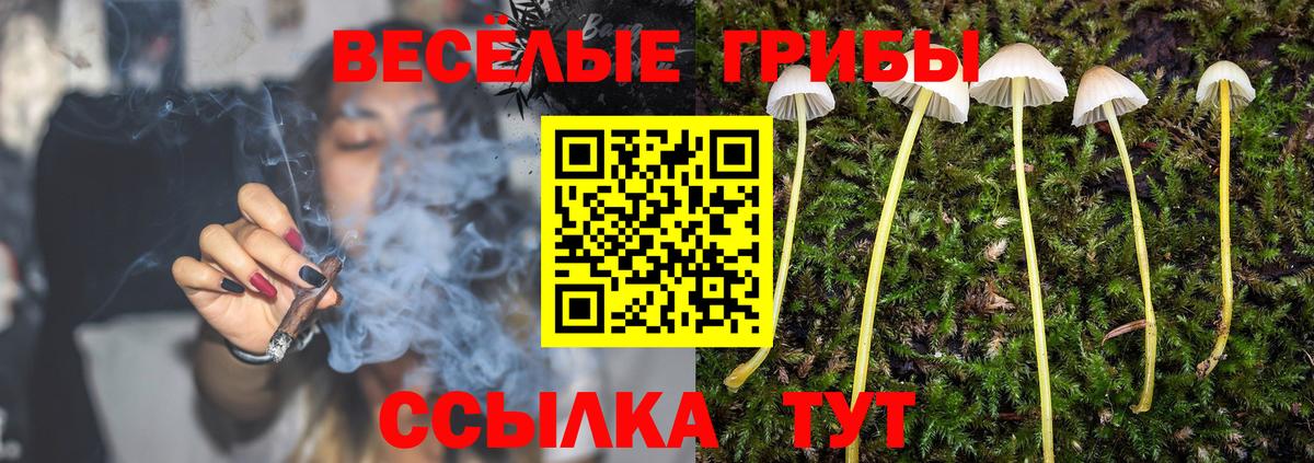 Псилоцибиновые грибы мухоморы  купить наркотики сайты  Азнакаево  Вход с VPN  Псилоцибиновые грибы ЛСД 